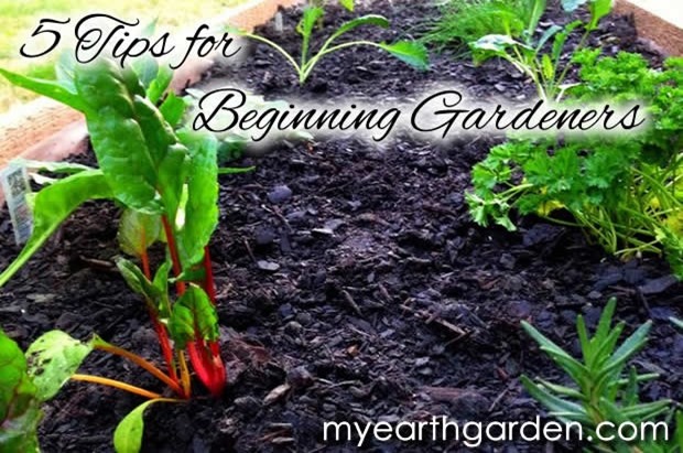 5-tips-beginning-gardeners