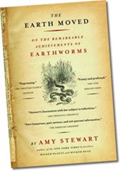 The Earth Moved by Amy Stewart