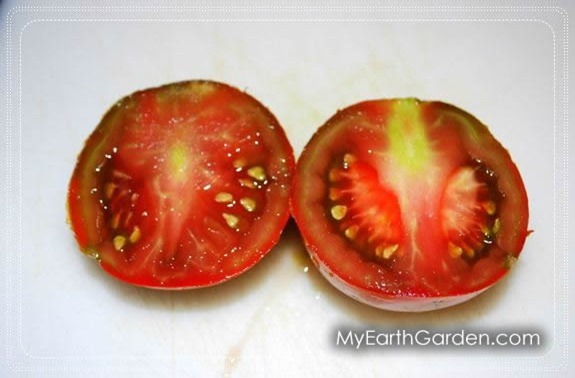 black pear tomato cross section